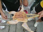 bbq (21)