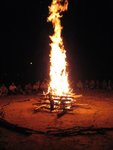 IMG_2265