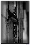 DPP_0014