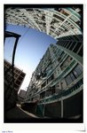 DPP_10