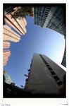 DPP_7