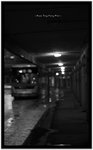 IMG_5272