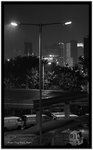 IMG_5273