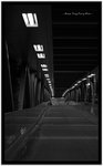 IMG_5275