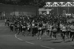 IMG_2138
