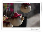 21dec08_TM05