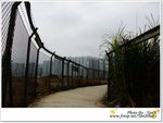 IMG_2539 複製