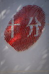 DSC07228_resize