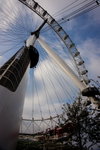 DSC08740_resize