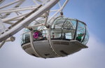 DSC08744_resize