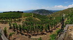 DSC04268_resize