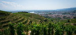 DSC04310_resize