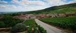 DSC04454_resize