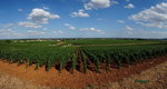 DSC04541_resize