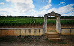 DSC04543_resize