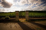 DSC04582_resize