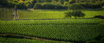 DSC04620_resize