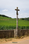 DSC04739_resize