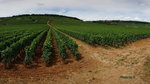 DSC04745_resize