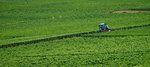 DSC04754_resize