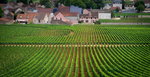 DSC04755_resize