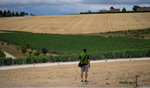 DSC04851_resize