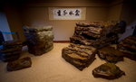 DSC03925_resize