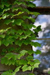 DSC00007