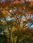 DSC00015