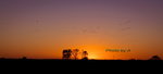 DSC00041