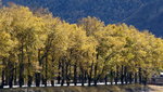 攝影天堂 Photographer's Paradise
DSC07338II_調整大小