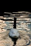 DSC01032_resize