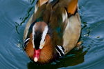 DSC01055_resize
