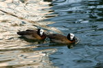 DSC01059_resize