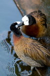 DSC01107_resize