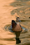 DSC01247II_resize