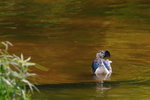 DSC09131_resize