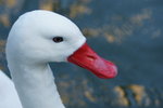 DSC09300_resize