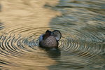 DSC09304_resize