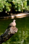 DSC09687_resize