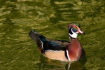 DSC09694_resize