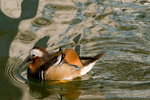 DSC09741_resize