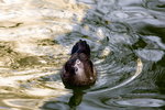 DSC09821_resize