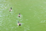 DSC09827_resize