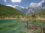 DSC01274_resize