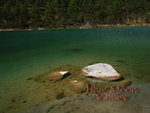 DSC01278_resize