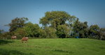DSC08993_resize