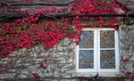 DSC08996_resize