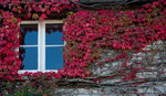 DSC08997_resize