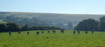 DSC08999_resize